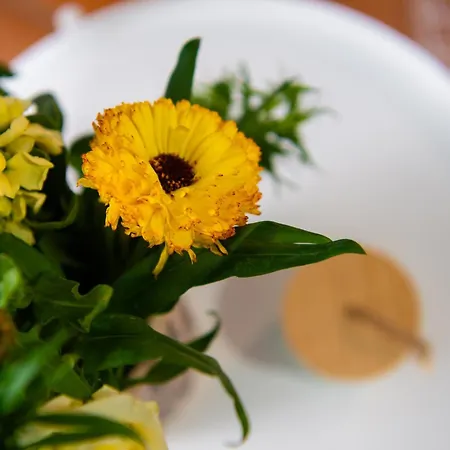 Lejlighed Path Beachfront Latchi