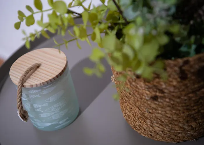 Apartment Path Beachfront Lachi