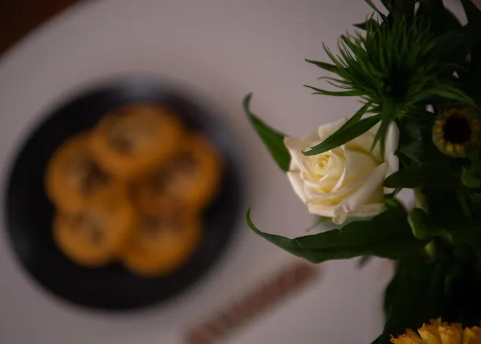 Apartment Path Beachfront *