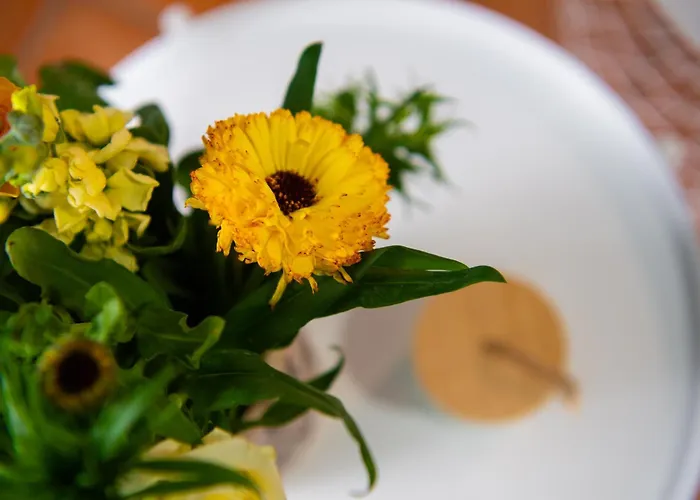 Apartment Path Beachfront Lachi